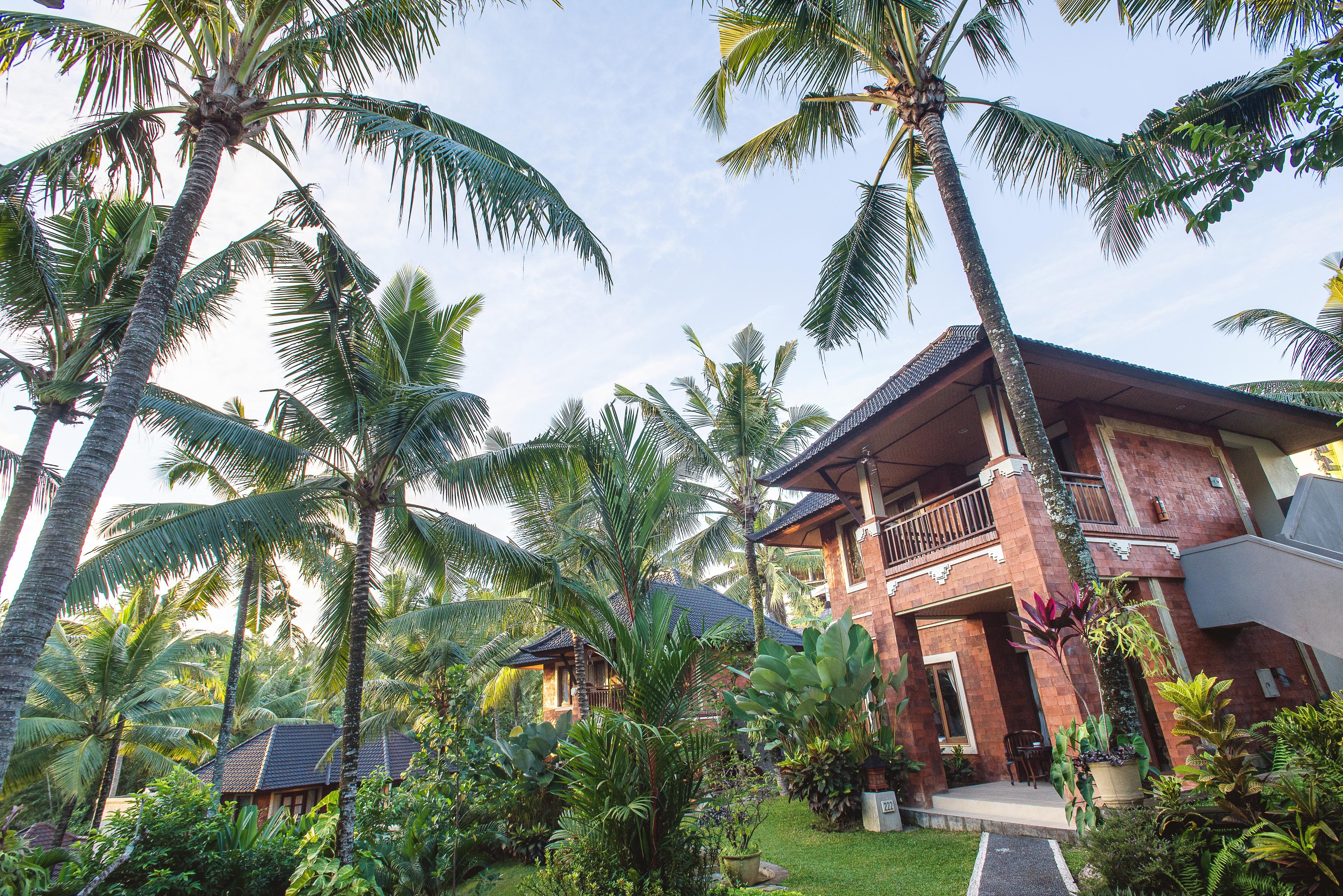 Rama Phala & Station touristique Ubud